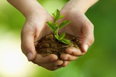 Für jede neue Heizungsanlage pflanzen wir einen Baum.